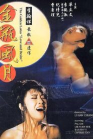 金瓶風月 – 1991 – Online In Netflix