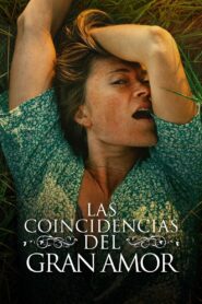 Las Coincidencias del Gran Amor – 2022 – Online In Netflix