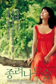종려나무 숲 – 2005 – Online In Netflix