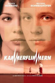 Kammerflimmern – 2004 – Online In Netflix