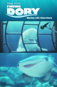 Marine Life Interviews – 2016 – Online In Netflix