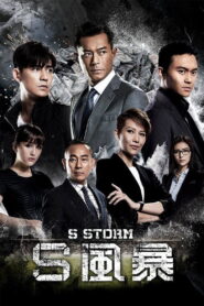 S風暴 – 2016 – Online In Netflix
