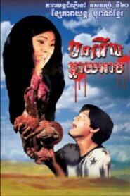 កូនអើយ ម្តាយអាប – 1980 – Online In Netflix