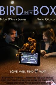 Bird in a Box – 2012 – Online In Netflix