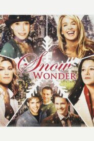Snow Wonder – 2005 – Online In Netflix