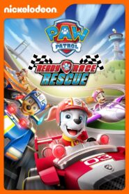 PAW Patrol: Ready, Race, Rescue! – 2019 – Online In Netflix