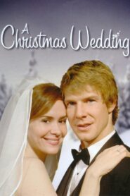A Christmas Wedding – 2006 – Online In Netflix