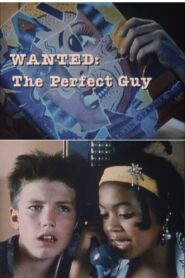 Wanted: The Perfect Guy – 1986 – Online In Netflix
