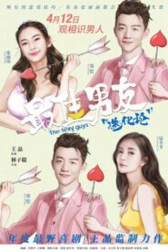 最佳男友进化论 – 2019 – Online In Netflix