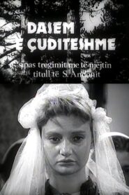 Dasëm e çuditëshme – 1986 – Online In Netflix