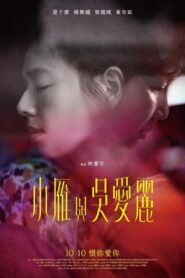 小雁與吳愛麗 – 2024 – Online In Netflix