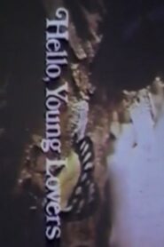Hello, Young Lovers – 1981 – Online In Netflix