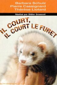 Il court, il court, le furet… – 2003 – Online In Netflix