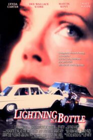 Lightning in a Bottle – 1993 – Online In Netflix