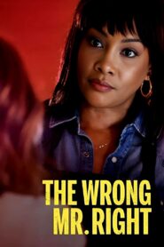 The Wrong Mr. Right – 2021 – Online In Netflix