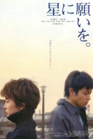 星に願いを – 2003 – Online In Netflix