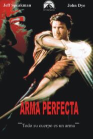 El arma perfecta – 1991 – Online In Netflix