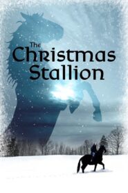 The Winter Stallion – 1992 – Online In Netflix