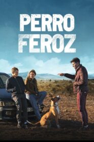 Chien de la casse – 2023 – Online In Netflix