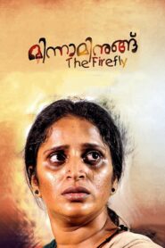 മിന്നാമിനുങ്ങ് The Firefly – 2017 – Online In Netflix