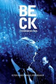 Beck 25 – I stormens öga – 2009 – Online In Netflix