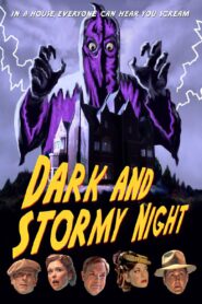 Dark and Stormy Night – 2009 – Online In Netflix