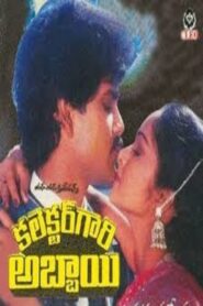 కలెక్టర్ గారి అబ్బాయి – 1987 – Online In Netflix