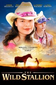 The Wild Stallion – 2009 – Online In Netflix