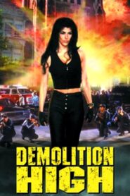 Demolition High – 1996 – Online In Netflix