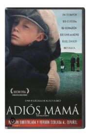 Äideistä parhain – 2005 – Online In Netflix