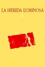 La herida luminosa – 1997 – Online In Netflix
