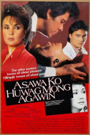 Asawa Ko Huwag Mong Agawin – 1987 – Online In Netflix