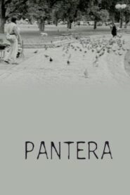 Pantera – 1998 – Online In Netflix
