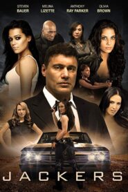 Fast Lane – 2011 – Online In Netflix