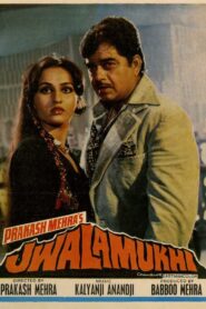Jwalamukhi – 1980 – Online In Netflix