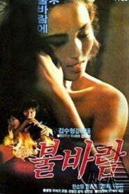 불바람 – 1983 – Online In Netflix