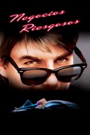 Negocios Riesgosos – 1983 – Online In Netflix