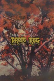 Prem Rog – 1982 – Online In Netflix
