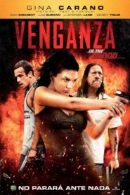Venganza – 2014 – Online In Netflix