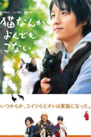 猫なんかよんでもこない。 – 2016 – Online In Netflix