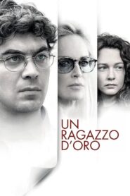 Un ragazzo d’oro – 2014 – Online In Netflix