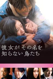 彼女がその名を知らない鳥たち – 2017 – Online In Netflix