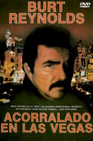 Heat – 1986 – Online In Netflix
