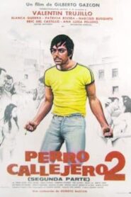 Perro callejero 2 – 1981 – Online In Netflix