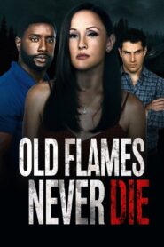 Old Flames Never Die – 2022 – Online In Netflix