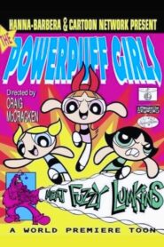 Powerpuff Girls : Meat Fuzzy Lumpkins – 1995 – Online In Netflix
