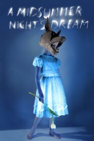 A Midsummer Night’s Dream – 2014 – Online In Netflix