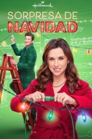 Haul Out the Holly – 2022 – Online In Netflix