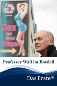 Professor Wall im Bordell – 2019 – Online In Netflix