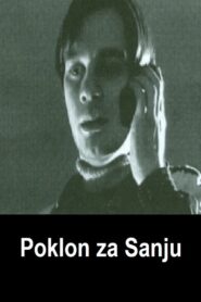 Poklon za sanju – 2004 – Online In Netflix